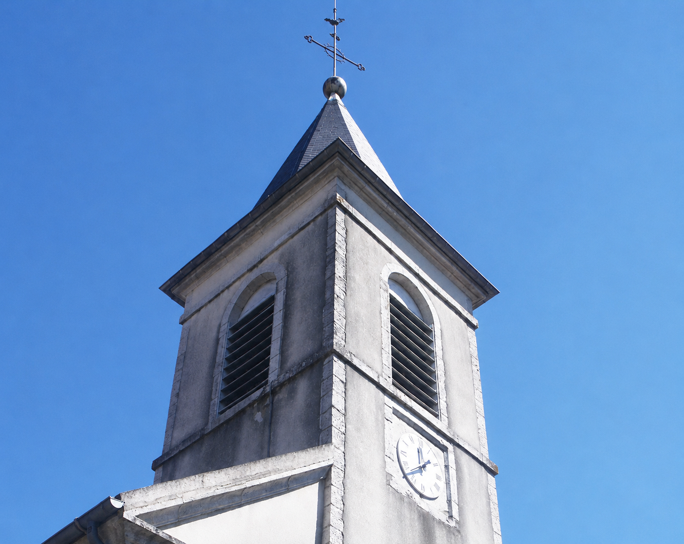 Allée de cimetière arborée